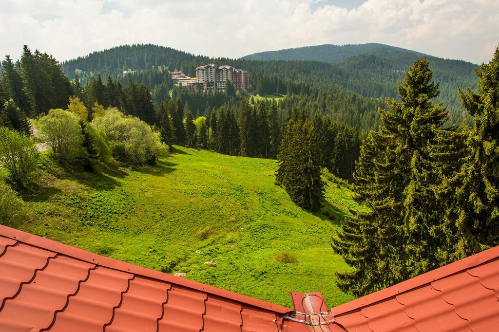 Snezhanka Hotel Pamporovo - Half board Buitenkant foto